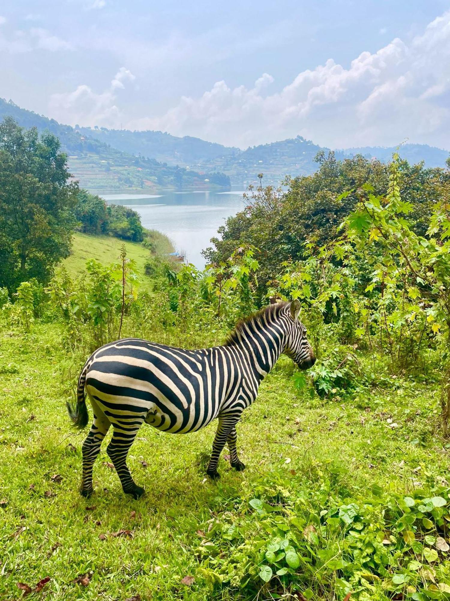 OM Hostel Bunyonyi Kabale Dış mekan fotoğraf
